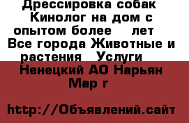 Дрессировка собак (Кинолог на дом с опытом более 10 лет) - Все города Животные и растения » Услуги   . Ненецкий АО,Нарьян-Мар г.